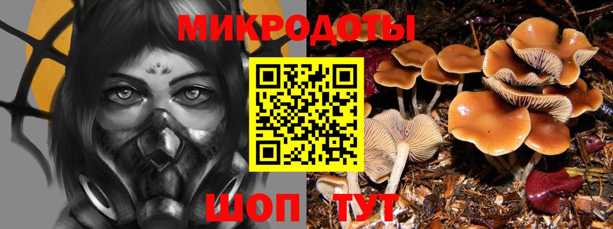 Миллерово  Псилоцибиновые грибы прущие грибы  Вход с VPN 