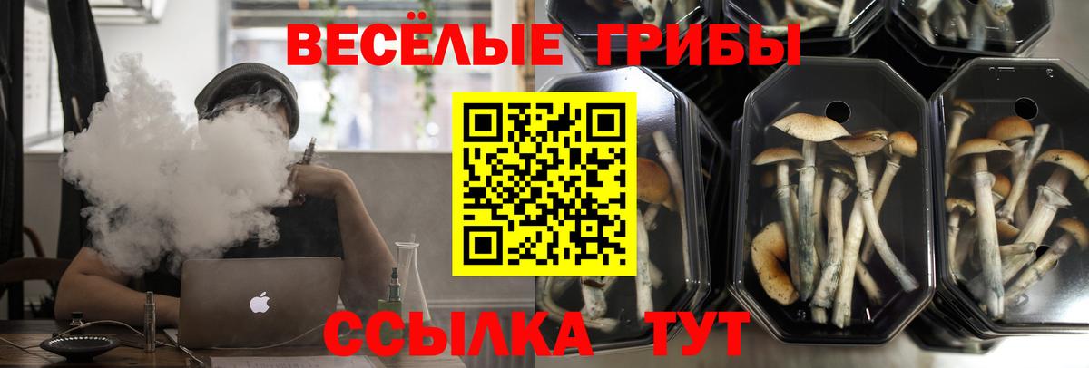 Псилоцибиновые грибы ЛСД Миллерово